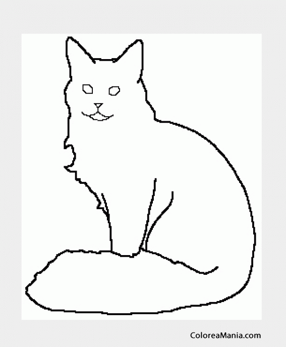 Colorear Gato Munchkin sentado