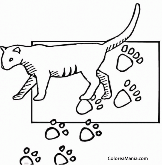 Colorear Huellas de Gato (Animales Domésticos), dibujo para colorear gratis