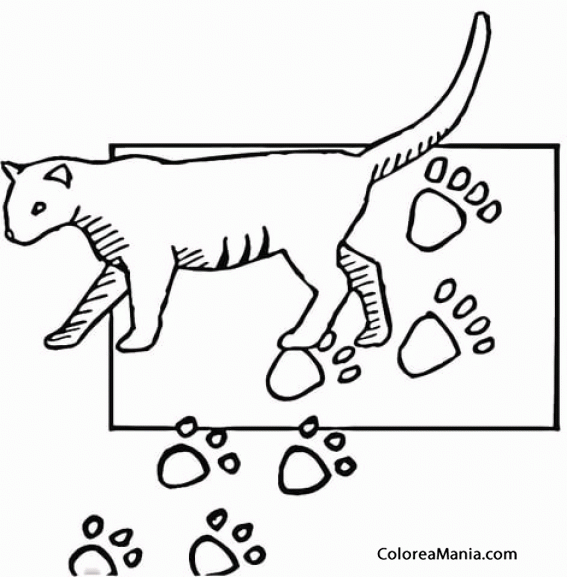Colorear Huellas de Gato (Animales Domésticos), dibujo para colorear gratis Colorear Huellas de Gato (Animales Domésticos), dibujo para colorear gratis