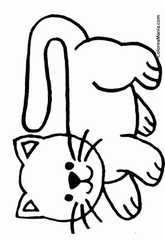 Colorear Gato, dibujo infantil