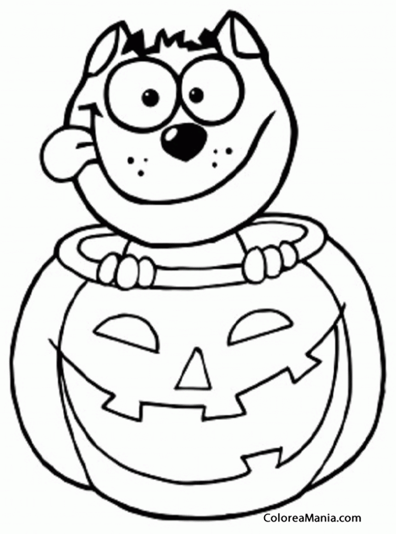 Colorear Gato en calabaza de Halloween (Animales Domésticos), dibujo para colorear gratis Colorear Gato en calabaza de Halloween (Animales Domésticos), dibujo para colorear gratis