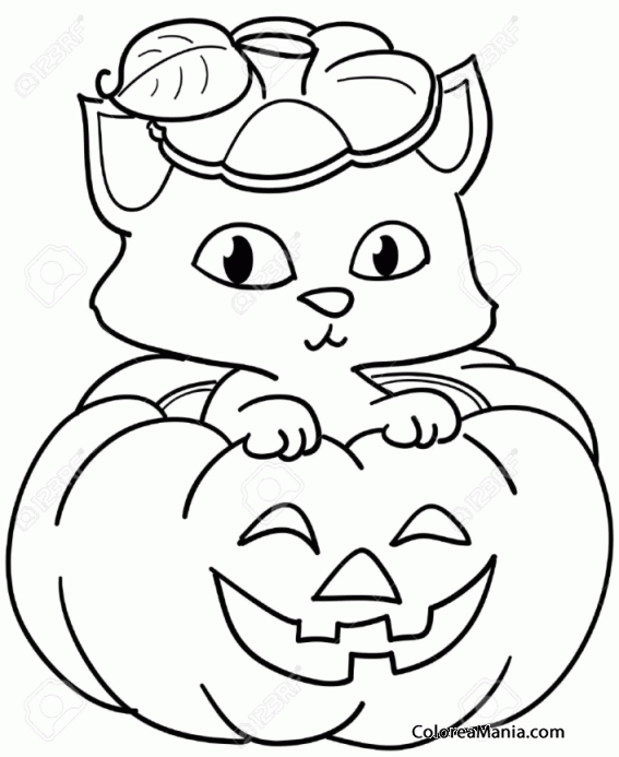 Colorear Gatita en calabaza de Halloween