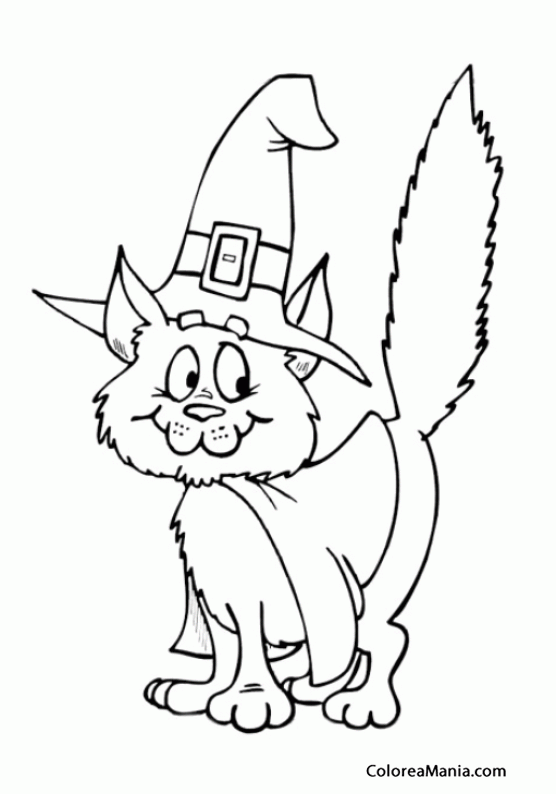 Colorear Gato con gran sombrero