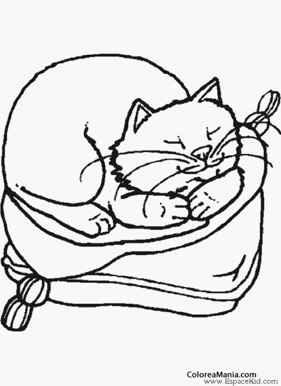 Colorear Gato durmiendo sobre un cojn