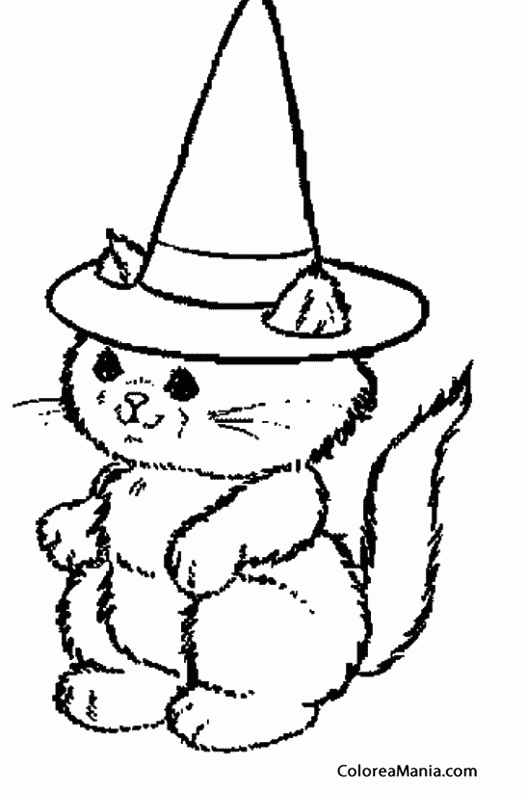 Colorear Gatito con sombrero