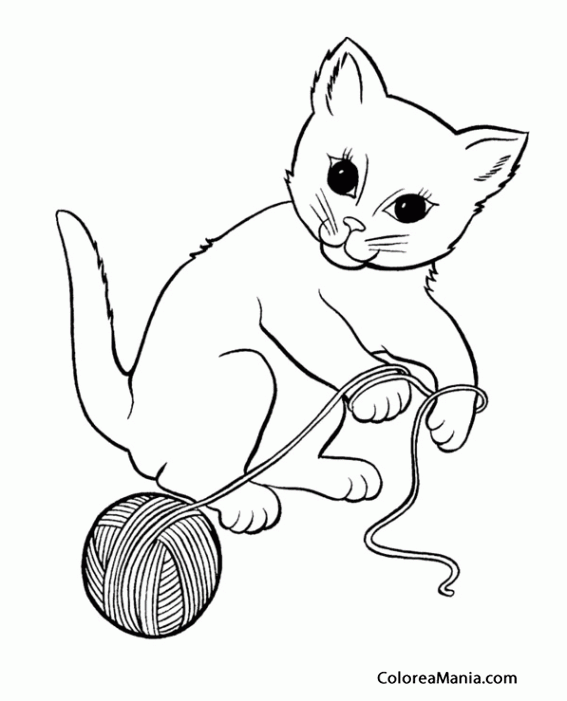 Colorear Gatito jugando con ovillo 