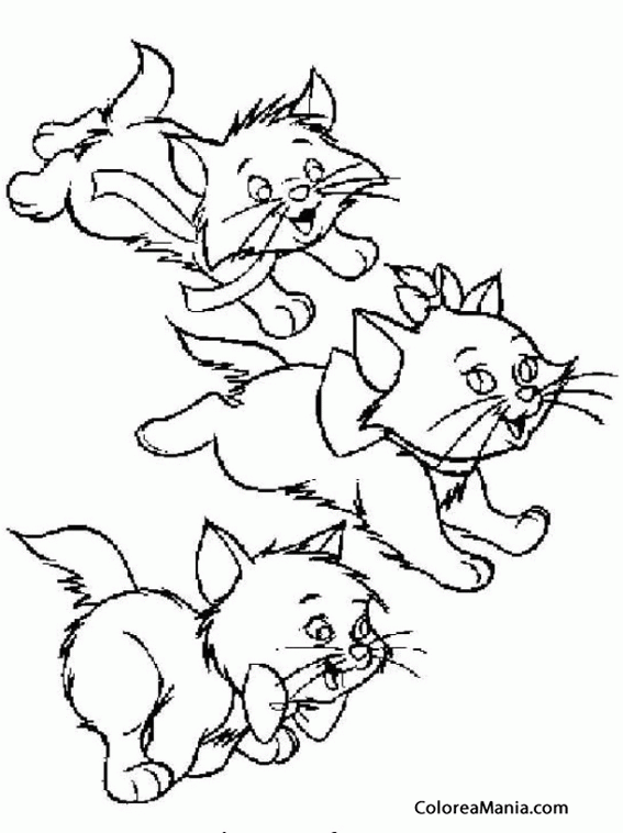 Colorear Tres Gatitos corriendo