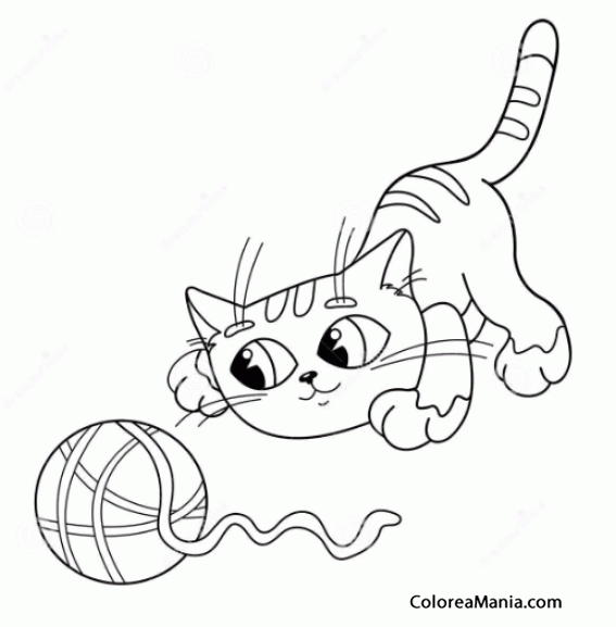 Colorear Gato jugando con ovillo   3