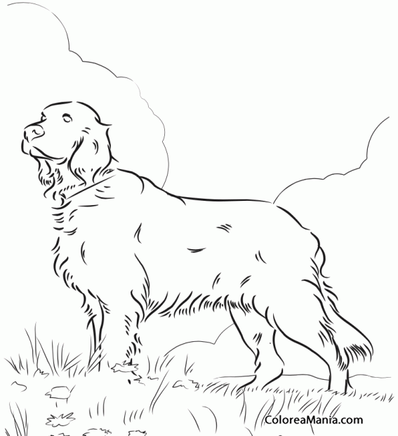 Белый бим рисунок легкий