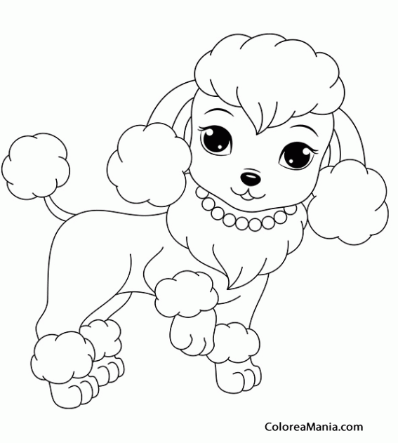 Colorear Perrita caniche (Animales dibujo para gratis