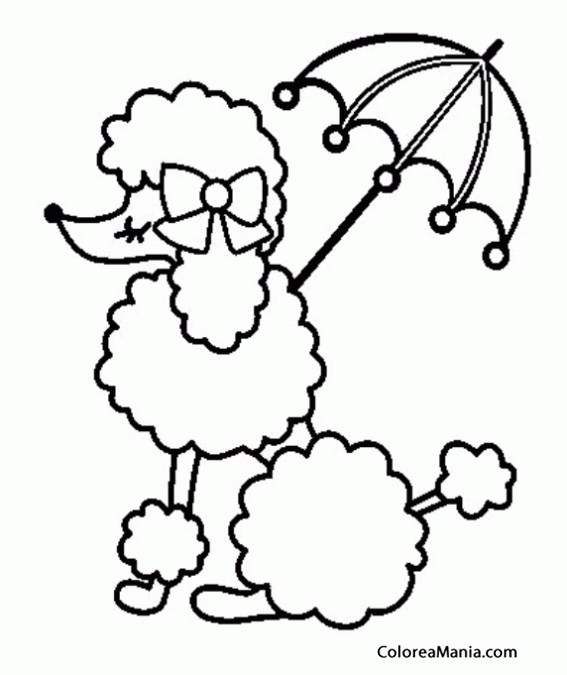 Perrita caniche paraguas (Animales Domésticos), dibujo colorear gratis