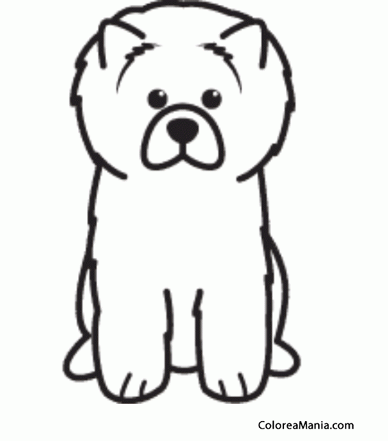 Colorear Silueta Perro Chow Chow