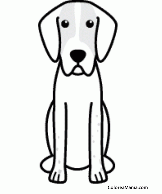 Colorear Silueta Perro Foxhound ingls