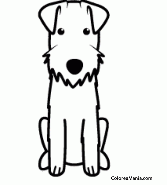 Colorear Silueta Perro Lakeland terrier