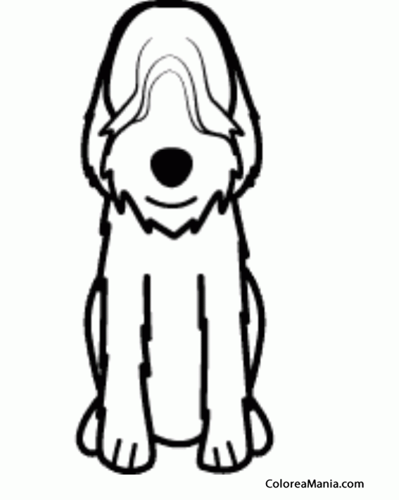 Colorear Silueta Perro Otterhound