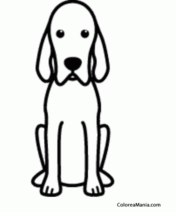 Colorear Silueta Perro Redbone Coonhound