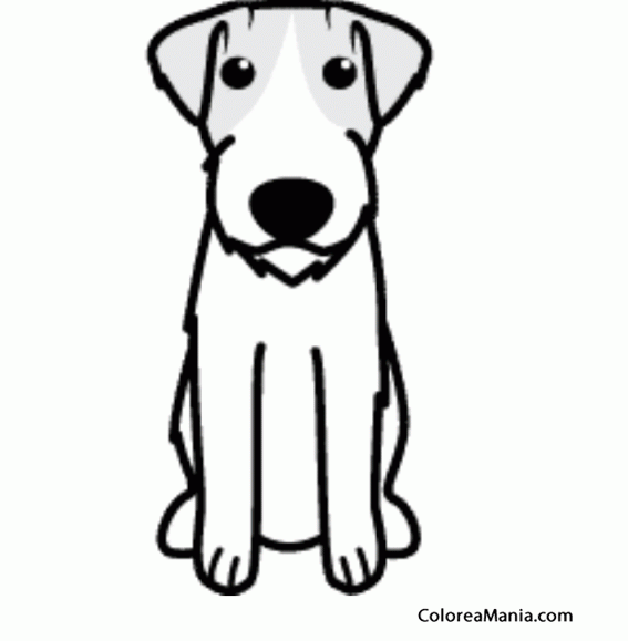 Colorear Silueta Perro Russell Terrier