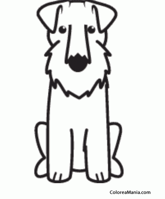 Colorear Silueta Perro Sealyham terrier