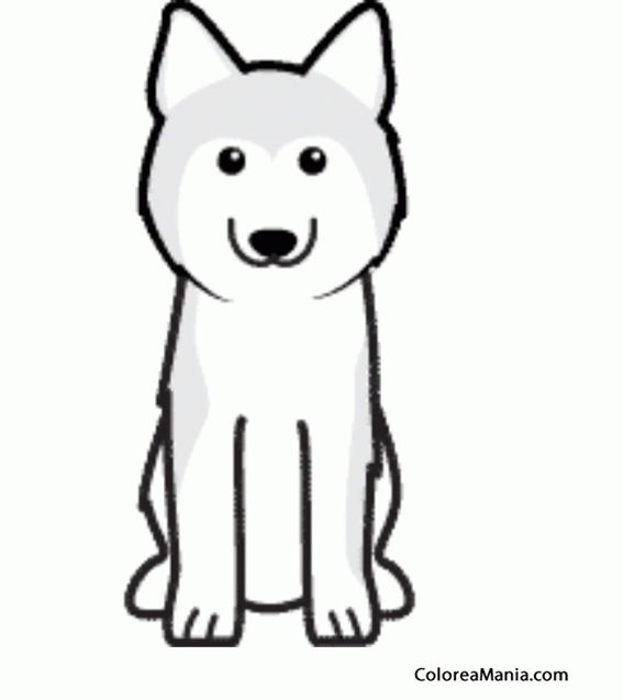 Colorear Silueta Perro Husky Siberiano (Animales Domésticos), dibujo para  colorear gratis