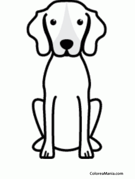 Colorear SIlueta Perro Treeing Walker Coonhound