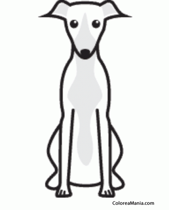 Colorear Silueta perro Whippet