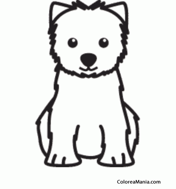 Colorear Silueta Perro West Highland white terrier