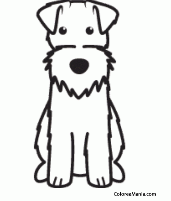 Colorear Silueta Perro Fox terrier de pelo duro