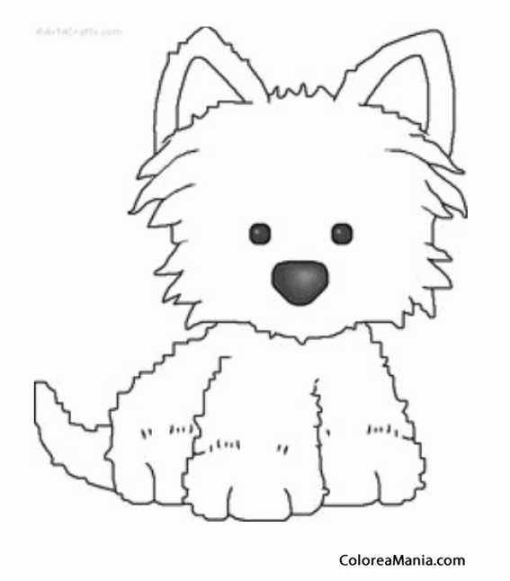 Colorear Cachorrito Westy