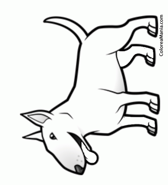 Colorear Caricatura Perro Bull Terrier 2