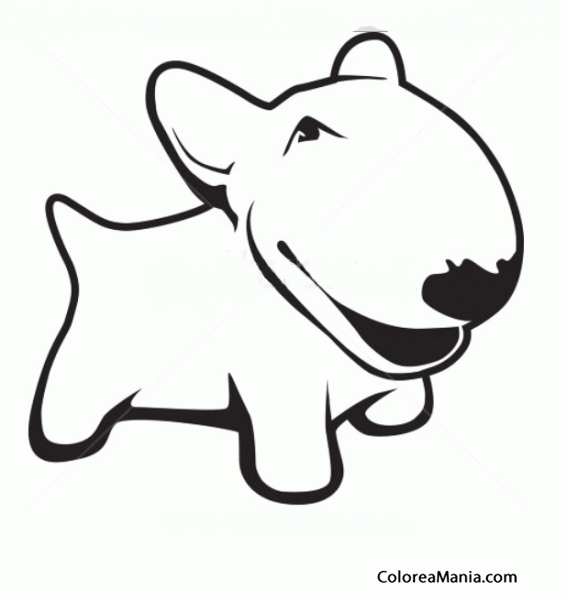 Colorear Perrito Bull terrier