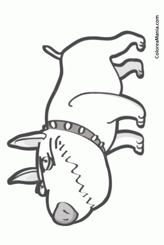Colorear Caricatura Perro Bull Terrier enfadado