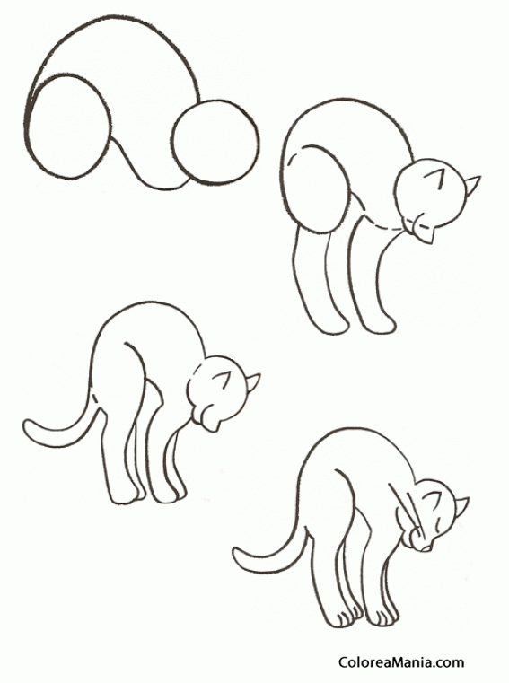 Colorear Dibujar un gato encorvado