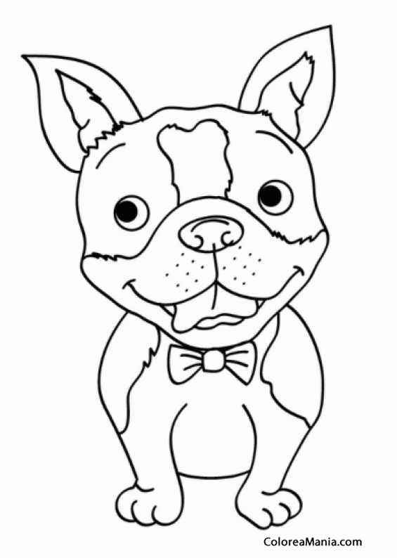 Colorear Perro Bulldog, cmic