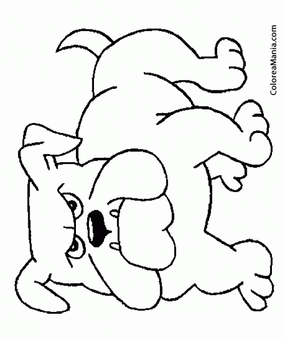 Colorear Perro Bulldog dibujo lineal