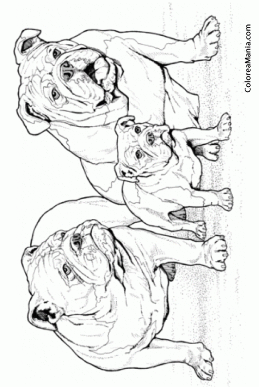 Colorear Perros Bulldog ingls en familia