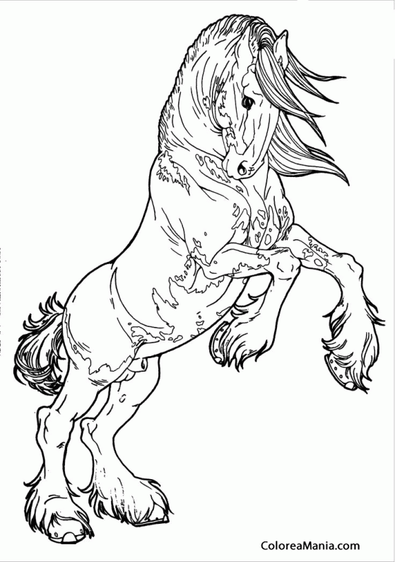 Colorear Caballo Clydesdale 5 (Animales Domésticos), dibujo para colorear gratis Colorear Caballo Clydesdale 5 (Animales Domésticos), dibujo para colorear gratis