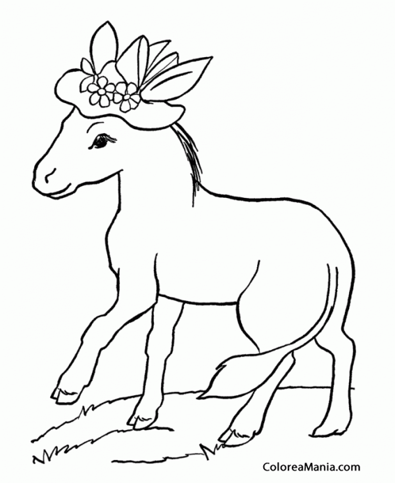 Colorear Burro con sombrero flores