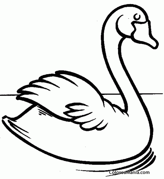 Colorear Silueta Cisne 