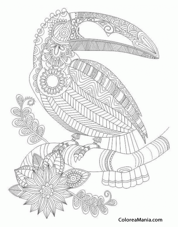  Colorear Tucán lleno de filigrana (Aves), dibujo para colorear gratis