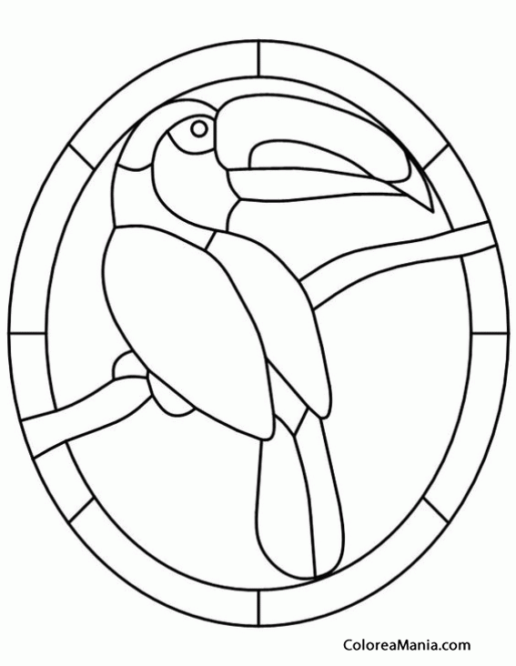 Colorear Logo Toucan 
