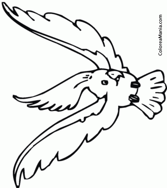 Colorear Cacatúa blanca volando