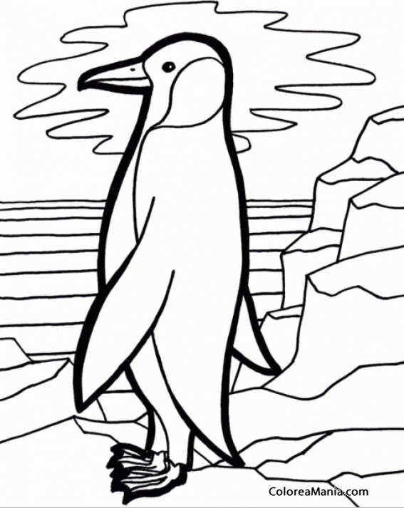 Colorear EL Pingüino va hacia el mar (Animales Polares), dibujo para  colorear gratis