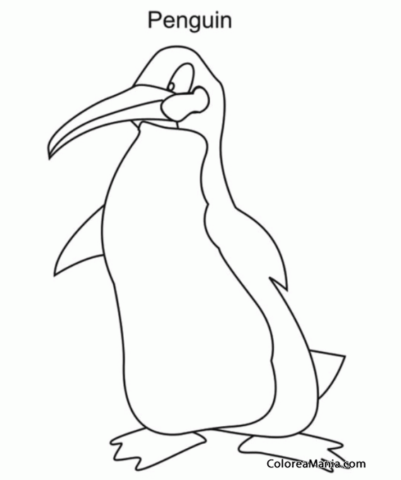 Colorear Penguin es Pingino en ingls