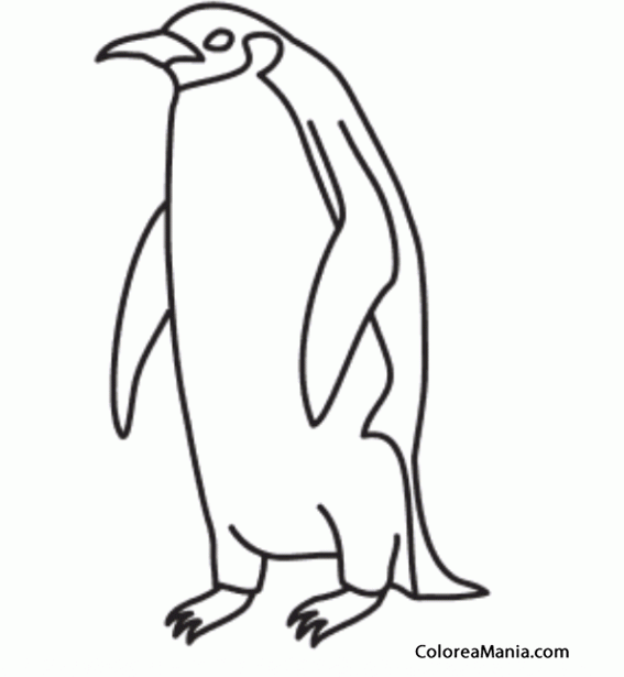 Colorear Pingino Emperador. Emperor Penguin 2