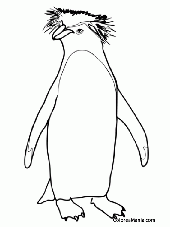 Colorear Pingino de Penacho amarillo.  Rockhopper Penguin