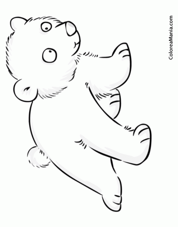 Colorear Bebé de Oso polar (Animales Polares), dibujo para colorear gratis