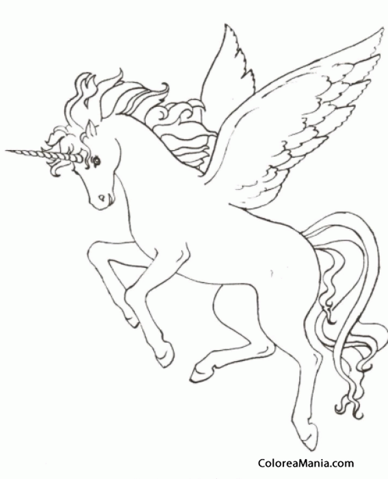 Colorear Pegaso con cuerno  de unicornio