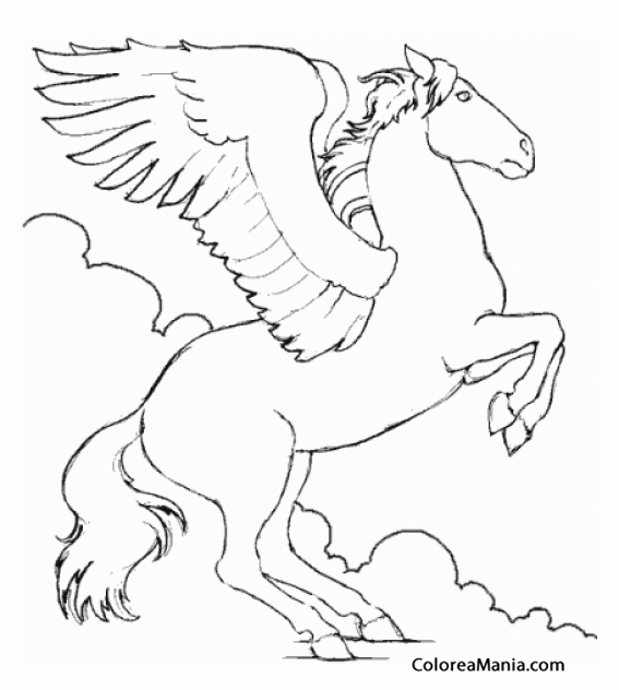 Colorear Pegaso alzado de manos