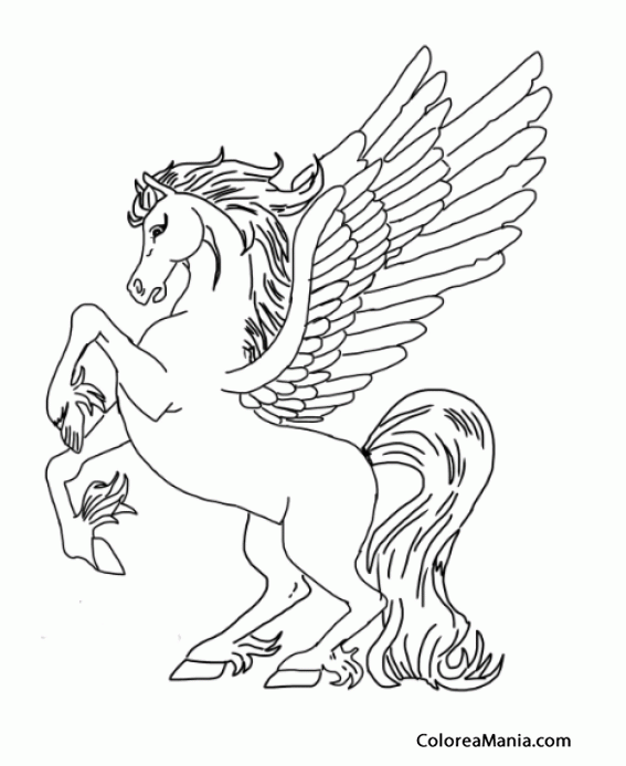 Colorear Pegaso encabritado