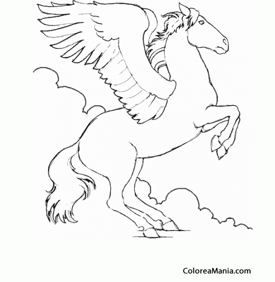 Colorear Pegaso alzado de manos 2